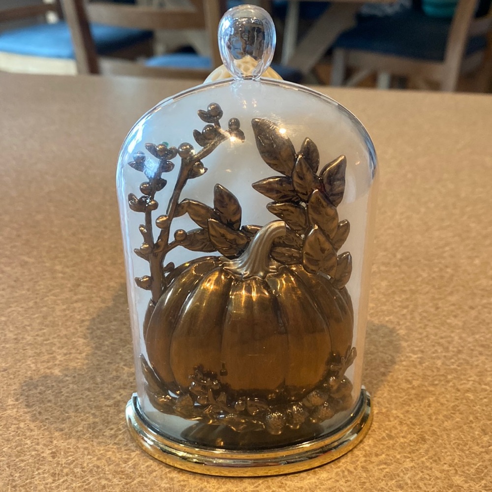 Bath & Body Works Wallflower Pumpkin